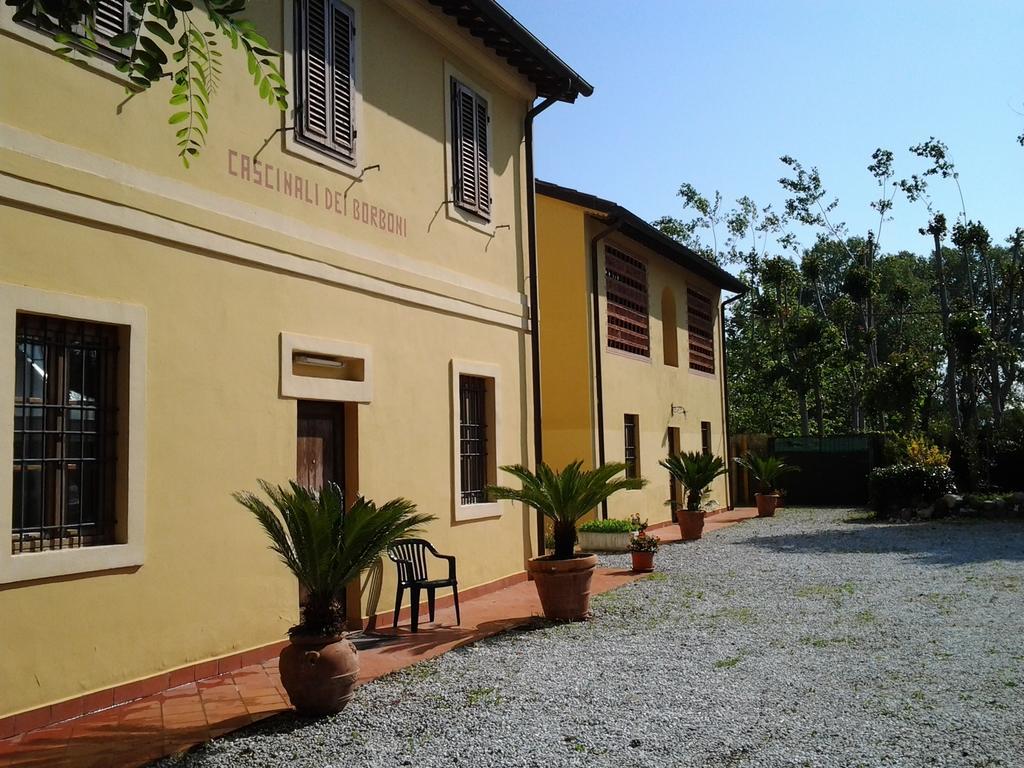Camping Dei Tigli Torre del Lago Puccini Pokój zdjęcie